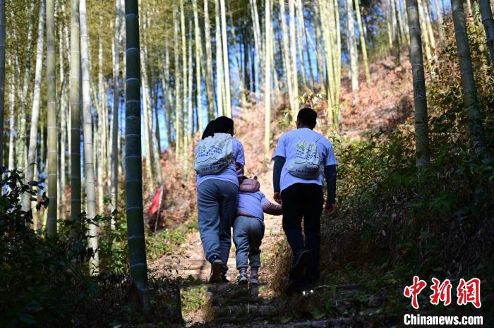 2023环浙步道长三角徒步节走进绿水青山间：以步
